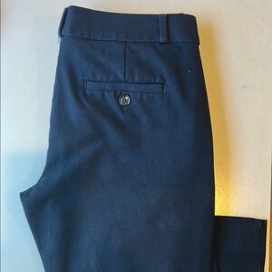 Banana Republic Navy Trousers